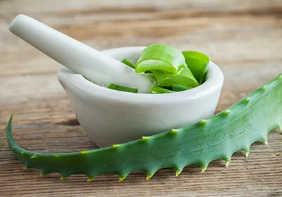 L'ALOE VERA